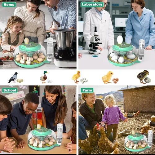 Miniatura 6 de Incubadora de 18 huevos con giro automático de huevos y control de humedad, incubadora de huevos de pollo, incubadora de vista grande para huevos