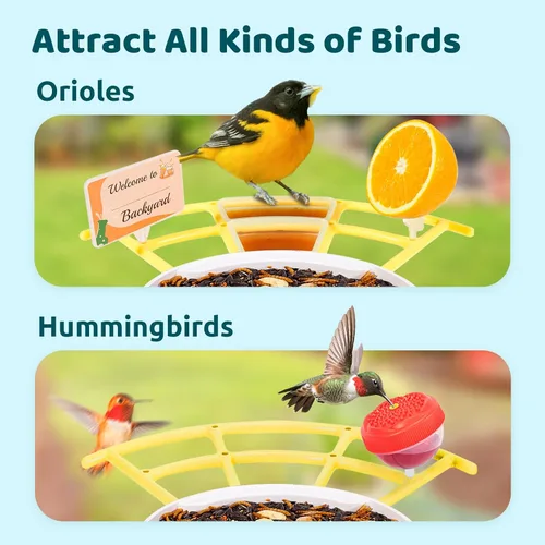 Miniatura 4 de NETVUE by Birdfy Pro Comedero Inteligente para Pájaros con Cámara y Panel Solar, Alertas de Llegada Instantáneas, Transmisión en Vivo y Visión