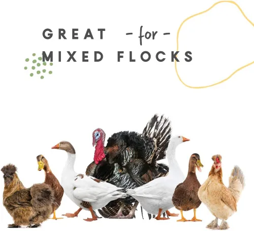 Miniatura 3 de Bebedero para aves de corral Harris Farms, doble pared, Plateado