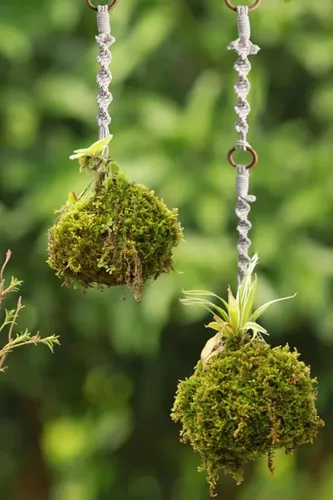 Miniatura 3 de Extensores colgantes de macramé para plantas colgantes (16 pulgadas, paquete de 6)