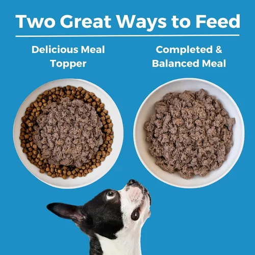 Miniatura 5 de KOHA Dieta de Ingredientes Limitados Entrée de Cordero para Perros - Comida Húmeda para Perros Sin Granos y Sin Rellenos - Comida Enlatada