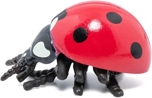 Miniatura 7 de Papo - Figura realista de mariquita - A partir de 3 años - Colección de animales de jardín - Mundo educativo de insectos - Juguete de idea de regalo