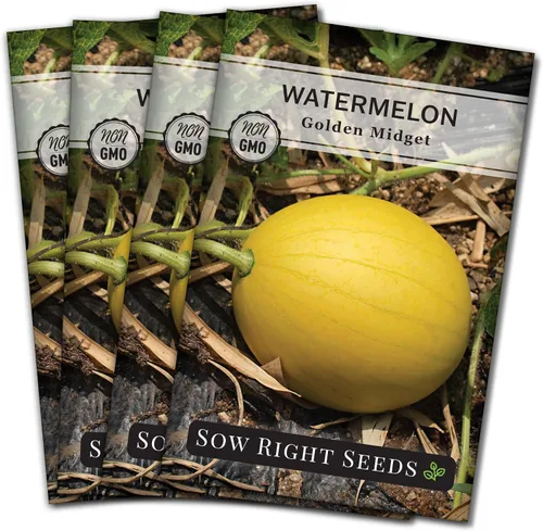 Miniatura 8 de Sow Right Seeds - Semilla de sandía Golden Midget para plantar - Paquete de reliquia sin OMG con instrucciones para plantar y cultivar un huerto
