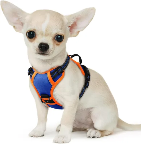 Miniatura 67 de Eagloo Arnés para perro pequeño, sin tirones, chaleco de servicio con tiras reflectantes y asa de control, ajustable y cómodo para caminar, arnés