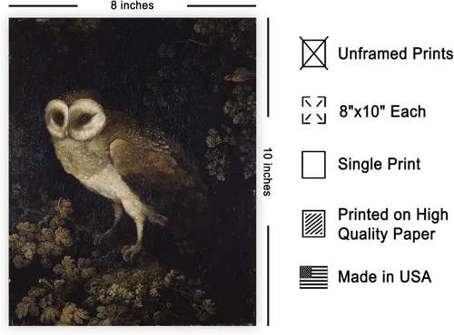 Miniatura 2 de Poster Master Póster vintage de búho – Impresión de pintura retro de búho – Arte Moody – Arte de pájaro – Gran regalo para hombres, mujeres, amantes