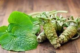 Miniatura 2 de Nuevas semillas frescas de planta de Wasabi 100pcs Generic