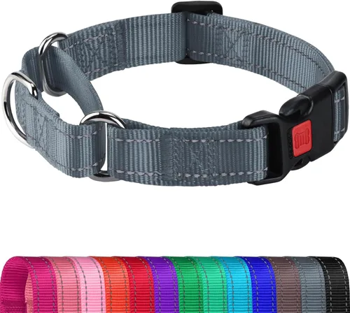 Miniatura 16 de Joytale - Collar martingale para perros, reflectante de alta resistencia para seguridad, hebilla de liberación rápida, collares ajustables de nailon