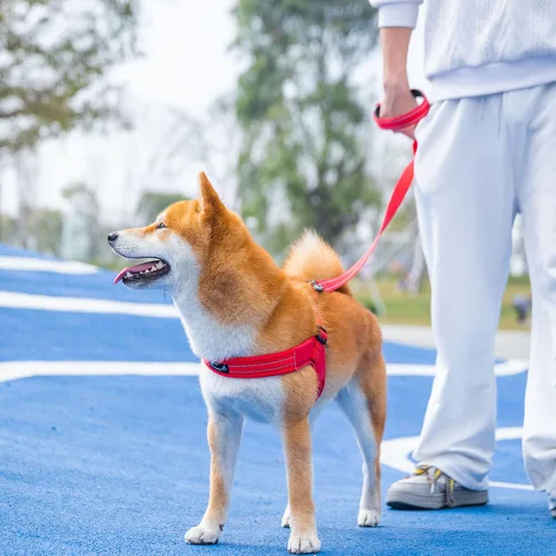 Miniatura 3 de EXCELLENT ELITE SPANKER Arnés para perro sin jalón Paso ajustable reflectante Chaleco acolchado suave con clips de correa para el pecho de mascota