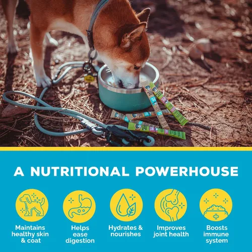 Miniatura 6 de Brutus Bone Broth para perros - Caldo de hueso en polvo con condroitina, glucosamina y cúrcuma - Toppers de alimentos de grado humano para alimentos