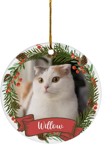 Miniatura 20 de FLOCHIL Adornos de Navidad Personalizados para Gatos Adornos de Navidad Personalizados con Foto y Nombre para Árboles de Navidad, Adornos de Navidad