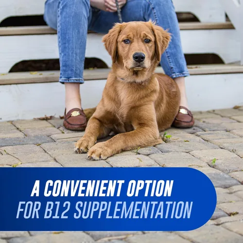 Miniatura 3 de Nutramax Laboratories Suplemento Cobalequin B12 para perros medianos a grandes, 45 tabletas masticables, pollo hidrolizado, 2.08 onzas