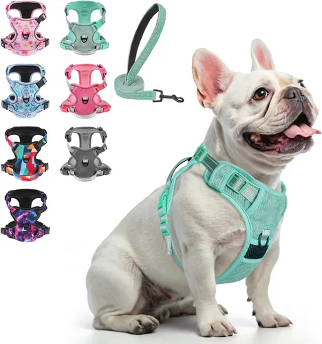 Miniatura 31 de BEAUTYZOO Arnés para perro sin tirones pequeño, juego de arnés y correa ajustable para perro - Fácil de usar con 3 hebillas/mango de control, arnés