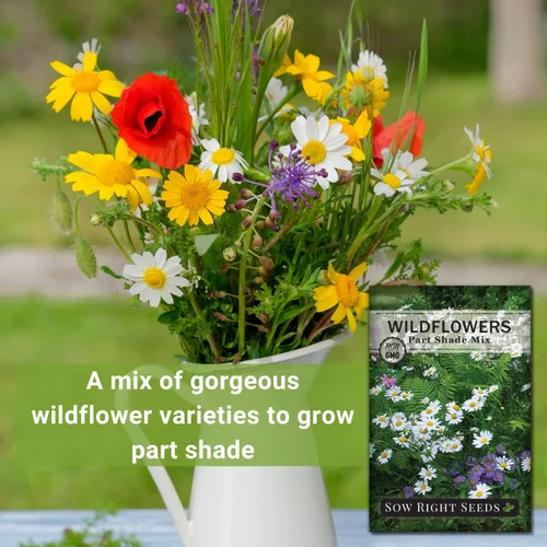 Miniatura 3 de Sow Right Seeds - Mezcla de semillas de flores silvestres para plantar en sombra parcial - Variedades tradicionales sin OMG para cultivar jardín