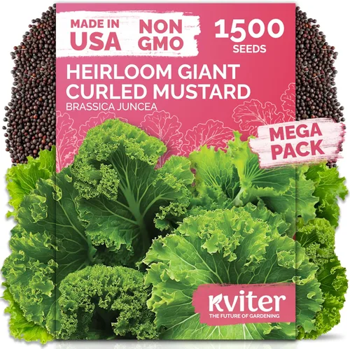 Miniatura 25 de KVITER 3100 semillas de zanahoria tiernas para plantar (Daucus carota) - Semillas de vegetales sin OMG para jardín al aire libre - Zanahorias dulces