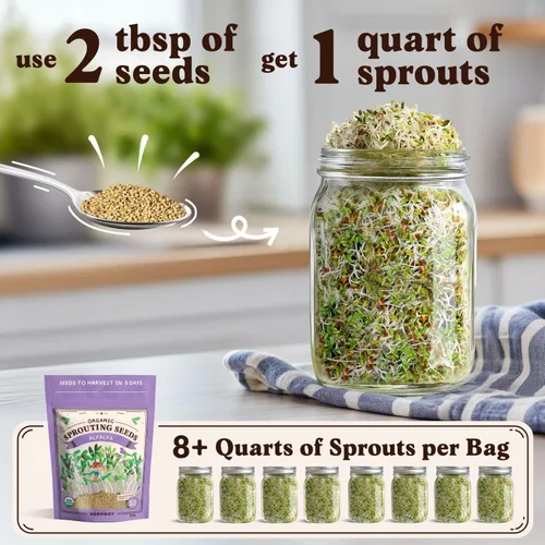 Miniatura 2 de Seedboy Semillas de alfalfa orgánicas sin GMO para germinación - Semillas para brotes de microverdes - Bolsa de 8 oz, produce 8 cuartos / 24