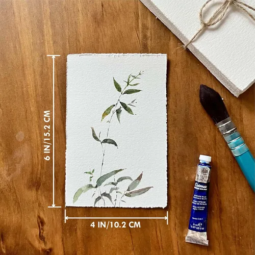 Miniatura 8 de Deckle Edge Papel de acuarela, 100% algodón, 140 libras, 300 GSM, 4 x 6 pulgadas, 30 hojas de papel mixto para técnica seca y húmeda, sin ácidos