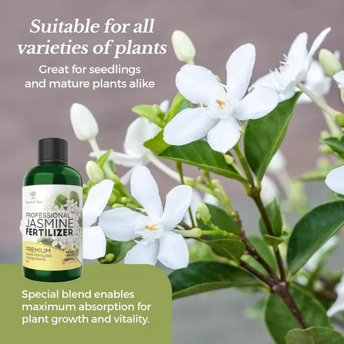Miniatura 9 de Fertilizante profesional de jazmín líquido 3-1-2 concentrado de 8 onzas, fertilizante de plantas de jazmín premium para interiores y exteriores