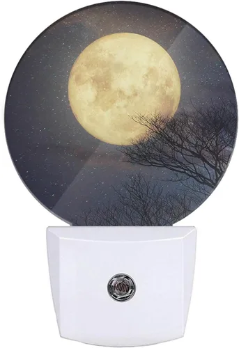 Miniatura 26 de EKOBLA Luz nocturna enchufable de estrellas de mar y conchas marinas, luz nocturna LED de playa con sensor automático del atardecer al amanecer