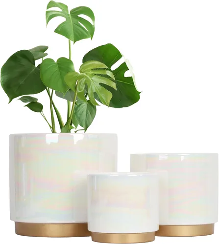 Miniatura 10 de Gepege - Macetas para suculentas para plantas, maceta para suculentas con agujeros de drenaje, maceta de cerámica para plantas de interior, juego