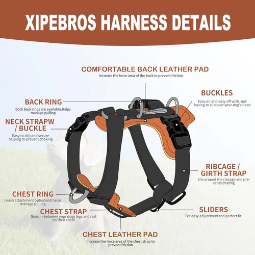 Miniatura 6 de Arnés para perro, arnés para perro sin tirones con almohadillas lesthe, ideal para pasear y entrenar perros. Arnés para perro fácil de caminar