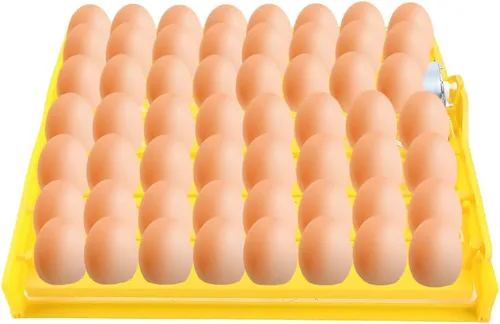 Miniatura 8 de Incubadora de 56 huevos, torneado automático y ajustable, incubadora para huevos de gallina, para incubar aves de corral, pollo, pato, pájaro