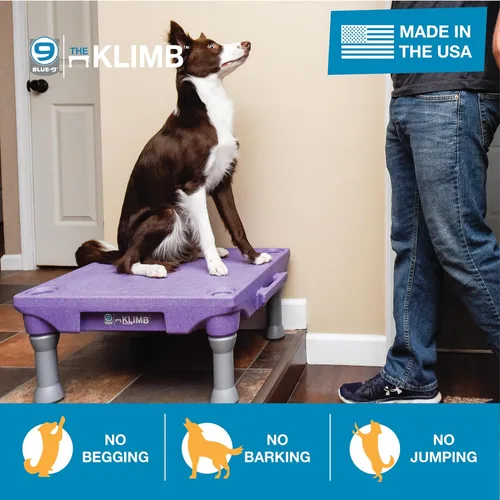 Miniatura 3 de Blue-9 Pet Products KLIMB - Plataforma de entrenamiento para perros y sistema de agilidad, duradero y portátil para uso en interiores o exteriores