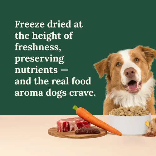 Miniatura 6 de 360 Pet Nutrition Alimento crudo liofilizado para perros – Receta de carne de res con hígado y órganos, alta proteína con omega-3, frutas, verduras