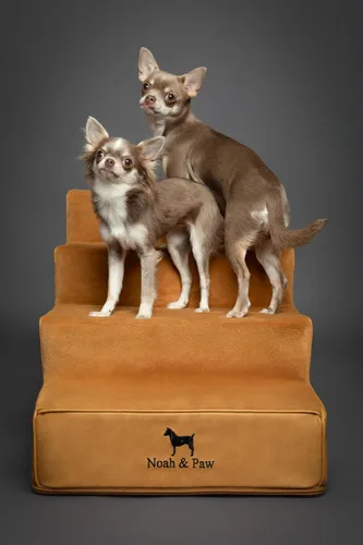Miniatura 7 de Noah & Paw Escaleras para Perros, Rampa para Perros para Cama (17" Extra Ancha) Escaleras para Mascotas para Cama Alta, Diseñadas para Razas