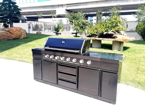 Miniatura 5 de Parrilla de cocina de acero inoxidable 3 en 1 negro para barbacoa al aire libre, isla de cocina, gas licuado de gas licuado de gas licuado de gas