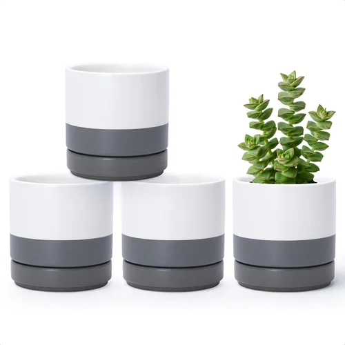 Miniatura 18 de D'vine Dev Juego de 4 macetas pequeñas de cerámica, maceta para suculentas de 3.5 pulgadas para plantas con orificio de drenaje y platillo