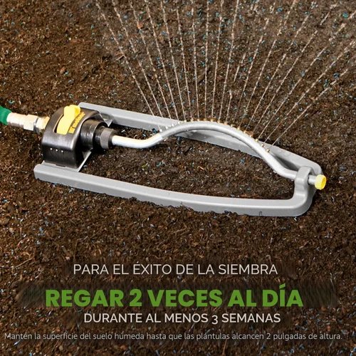 Miniatura 6 de Scotts Turf Builder - Mezcla de festuca alta para semillas de césped, duradera para resistir condiciones duras con nutrición para el desarrollo