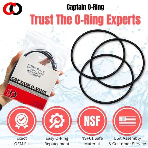 Miniatura 6 de Captain O-Ring - Junta tórica de filtro OR-250 (paquete de 3)