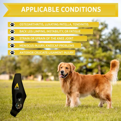 Miniatura 2 de AGON Rodillera para perros – Rodillera profesional para perros con estabilizador de bisagra ajustable – Rodillera de neopreno premium para soporte