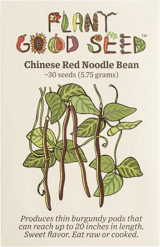 Miniatura 11 de Plant Good Seed Semillas orgánicas de frijol dragón para plantar: vegetales de arbusto de reliquia, vainas blancas y moradas - Paquete de 18 semillas