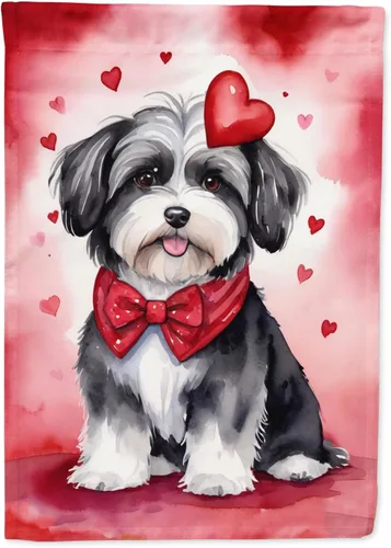 Miniatura 26 de Caroline's Treasures DAC5292CHF - Bandera de Border Collie My Valentine House para porche, grande, con manga para porche, para colgar en la pared