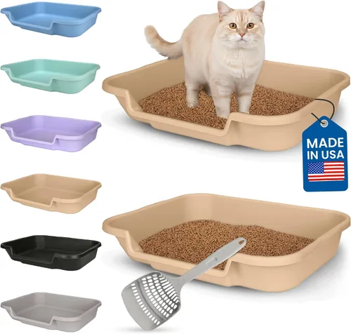 Miniatura 55 de KittyGoHere - Caja de arena para gatos mayores, sartén pequeña con cuchara jumbo de mango largo, caja de arena para gatos de entrada baja, ligera