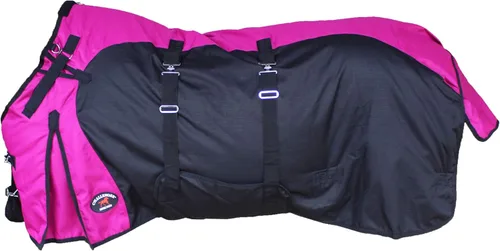 Miniatura 5 de CHALLENGER Manta de invierno de 60 pulgadas 1200D Horse Turnout impermeable de peso pesado 5EE20BG