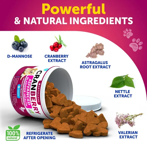 Miniatura 4 de Dog UT Treats - Bocadillos masticables de arándano para perros - Suplemento de apoyo para el tracto urinario y la vejiga con extracto natural
