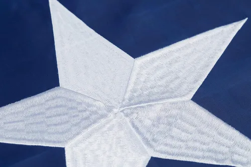 Miniatura 4 de Homissor Bandera del estado de Texas de 3 x 5 pies, banderas bordadas cosidas TX banderas de nailon resistentes para exteriores, color vivo, ojales