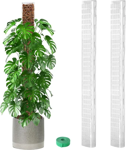 Miniatura 8 de EOX 2 Piezas Postes de Musgo de Plástico de 48 Pulgadas para Monstera, Postes Grandes en Forma de D para Plantas Trepadoras que Funcionan con Musgo
