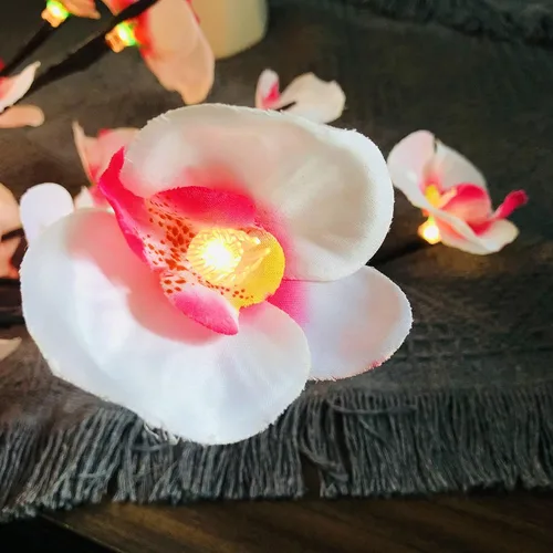 Miniatura 3 de Phalaenopsis - Paquete de 2 lámparas LED de rama de orquídea, ramo de orquídeas artificiales de mariposa, funciona con pilas, para decoración