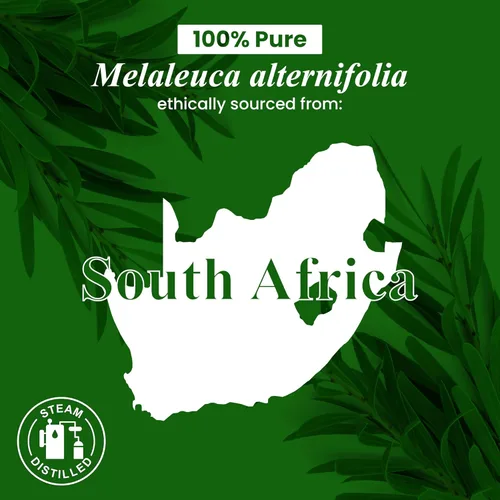 Miniatura 6 de Handcraft Blends - Aceite esencial de árbol de té 100 % puro y natural, aceite de alta calidad para difusor y aromaterapia, 0.33 onzas líquidas