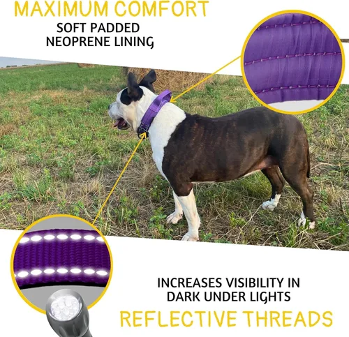 Miniatura 5 de ADITYNA Collar de perro resistente para perros grandes, collar morado reflectante con asa para entrenar y caminar, ancho, grueso, táctico, acolchado