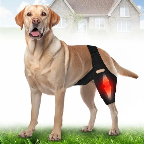 Rodillera para perro, soporte ajustable para piernas de perro para desgarro del ligamento cruzado anterior, dolor de articulaciones, dolor muscular,