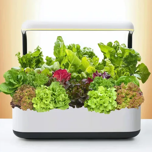 Miniatura 8 de Más de 20.000 semillas de lechuga, semillas de vegetales tradicionales para plantar en interiores y exteriores, 10 variedades de verduras frescas