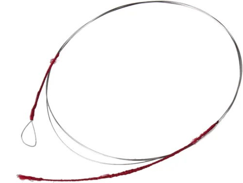 Miniatura 3 de Lovermusic 39.37 pulgadas de longitud, accesorios de instrumentos musicales chinos plateados para cuerdas Erhu de 2 cuerdas, paquete de 2