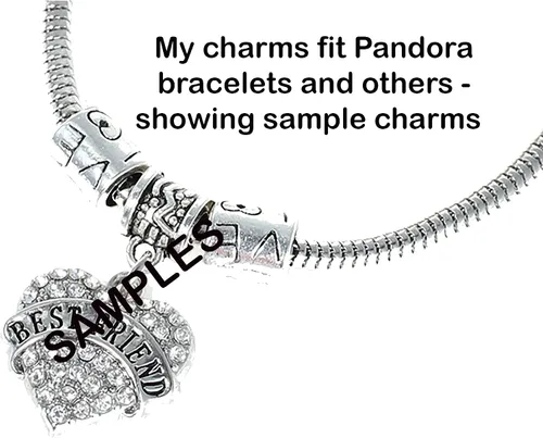 Miniatura 3 de Mossy Cabin Charms De Plata Para Pulseras De Estilo Europeo o Pandora
