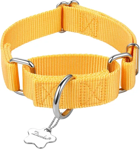 Miniatura 3 de Martingale - Collar para perro, diseño a prueba de fugas y antideslizante, nailon resistente con hebilla de metal, ajustable para perros pequeños
