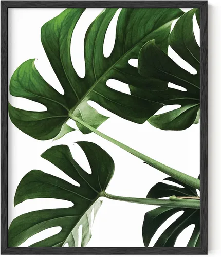 Miniatura 18 de HAUS AND HUES Arte botánico para pared, impresiones suculentas, póster moderno de plantas con diseño de invernadero para decoración del hogar