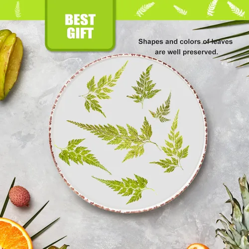 Miniatura 4 de ALJ Hojas de helecho secas reales, 42 hojas de helechos prensadas amarillas naturales para arte de resina, decoración de adornos de manualidades